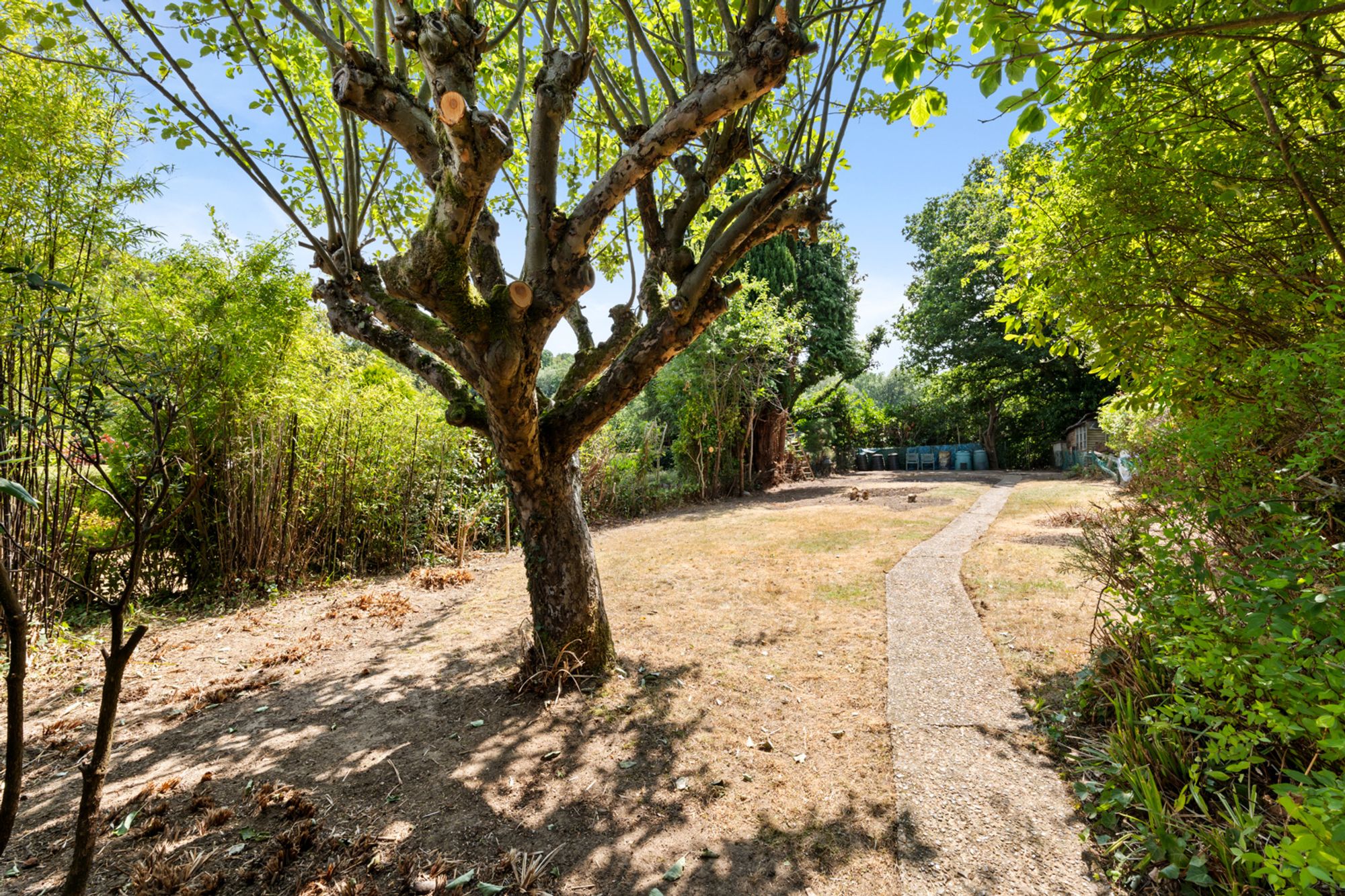 2 bed semi-detached bungalow for sale in Croham Valley Road, South Croydon, CR2  - Property Image 22