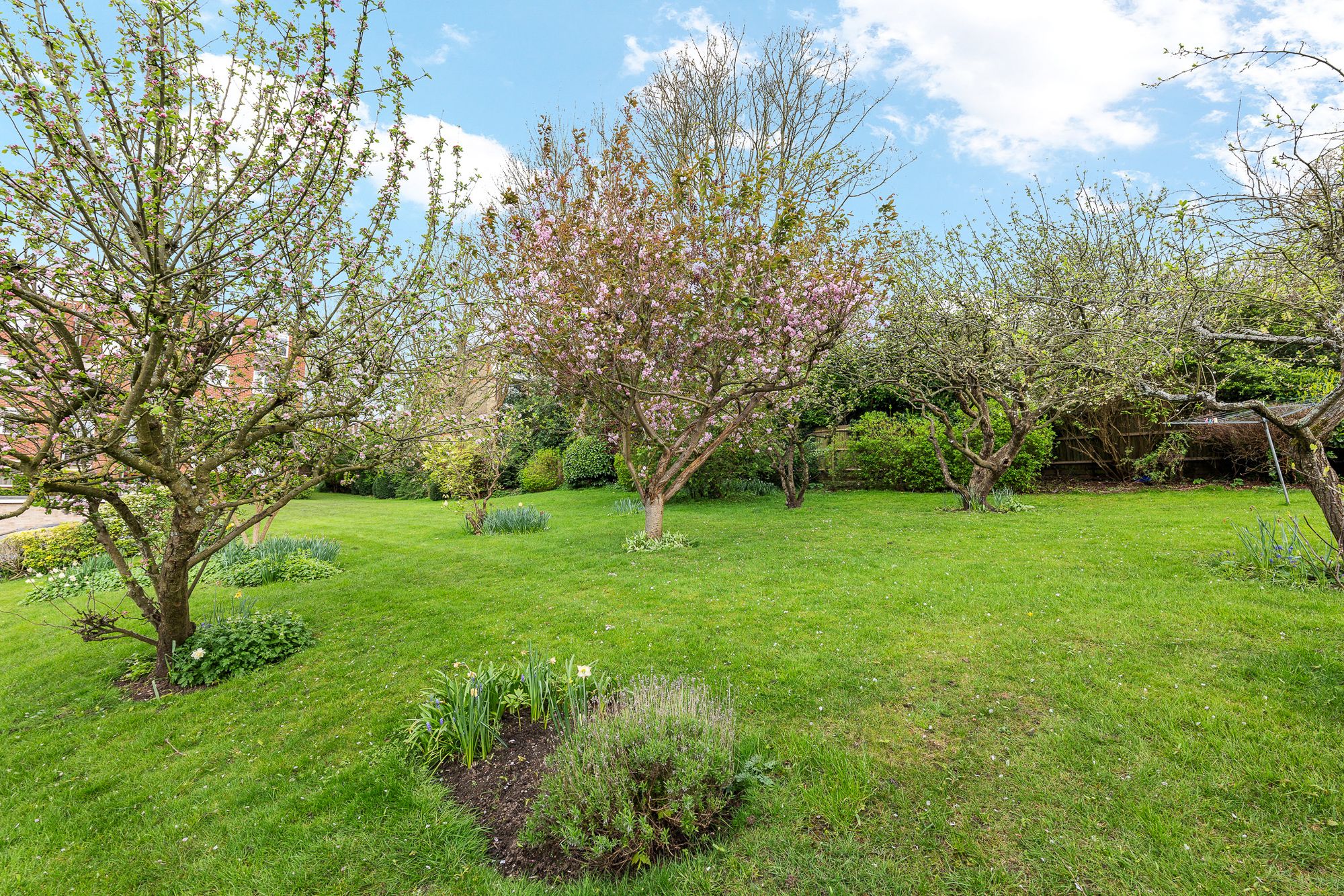 1 bed flat to rent in Haling Park Road, Ross Court, CR2  - Property Image 21