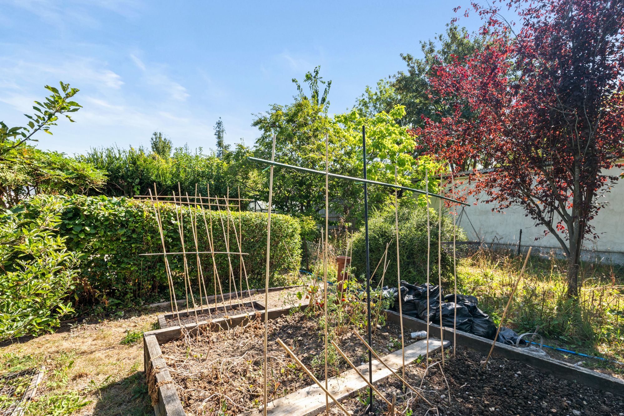 3 bed semi-detached house for sale in Littleheath Road, South Croydon, CR2 - Property Image 31