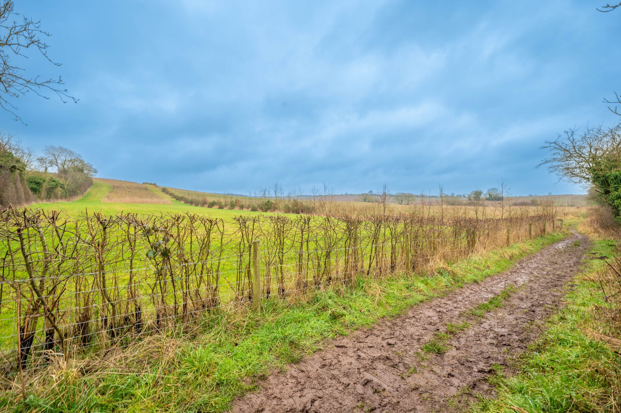 2 bed semi-detached cottage for sale in Ash Lane, Bearley, CV37 21