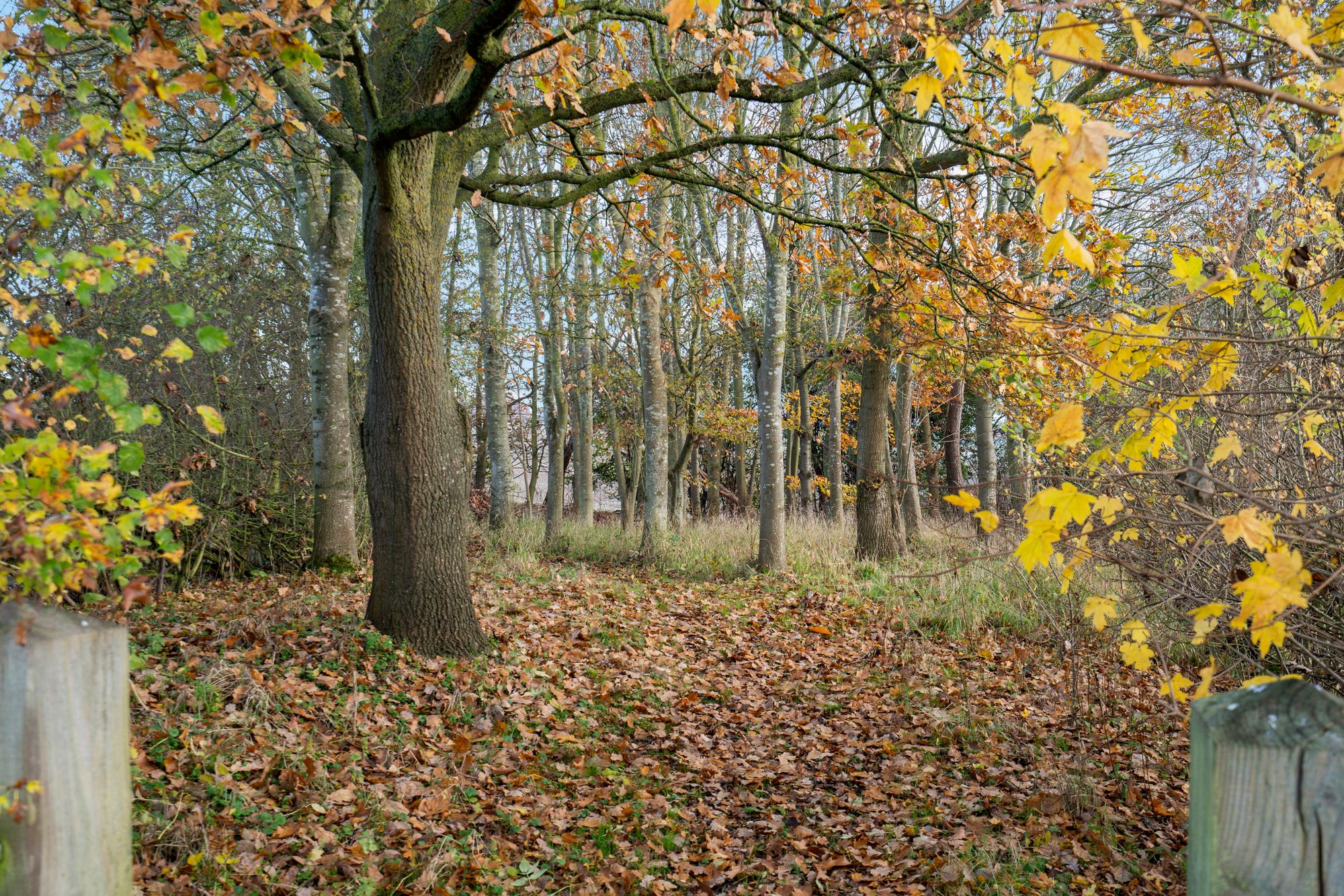 4 bed farm house for sale in Hatton Rock, Stratford-Upon-Avon, CV37 32