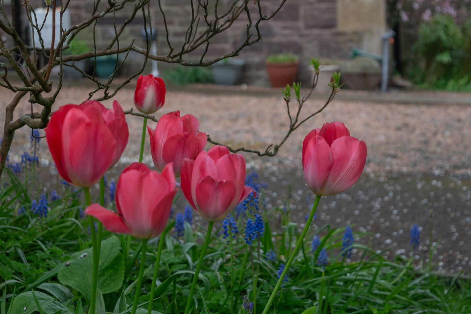 4 bed ground floor flat for sale in Perth Road, Crieff, PH7 3EQ  - Property Image 11