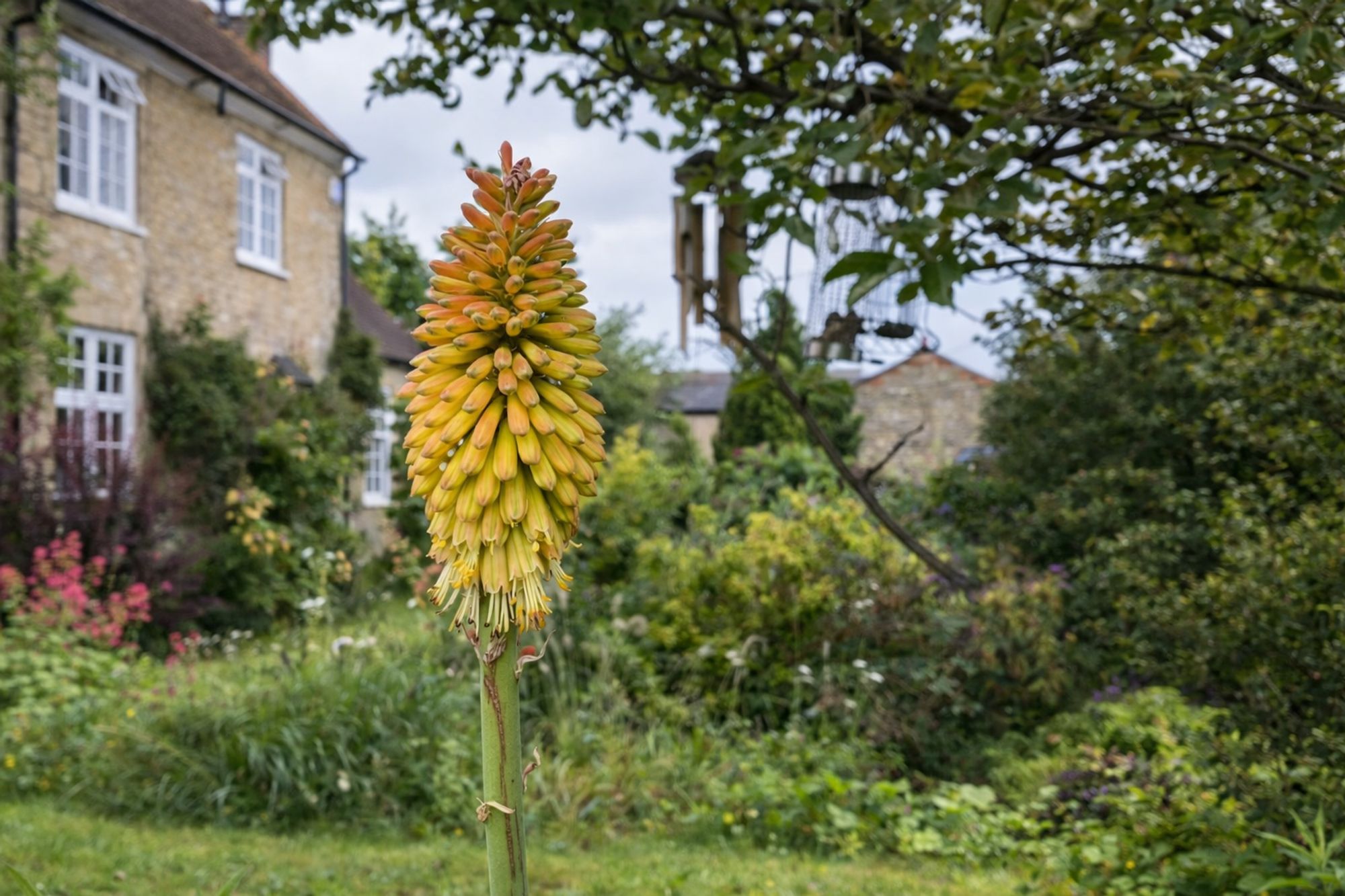 3 bed detached house for sale in High Street, Whittlebury, NN12  - Property Image 27