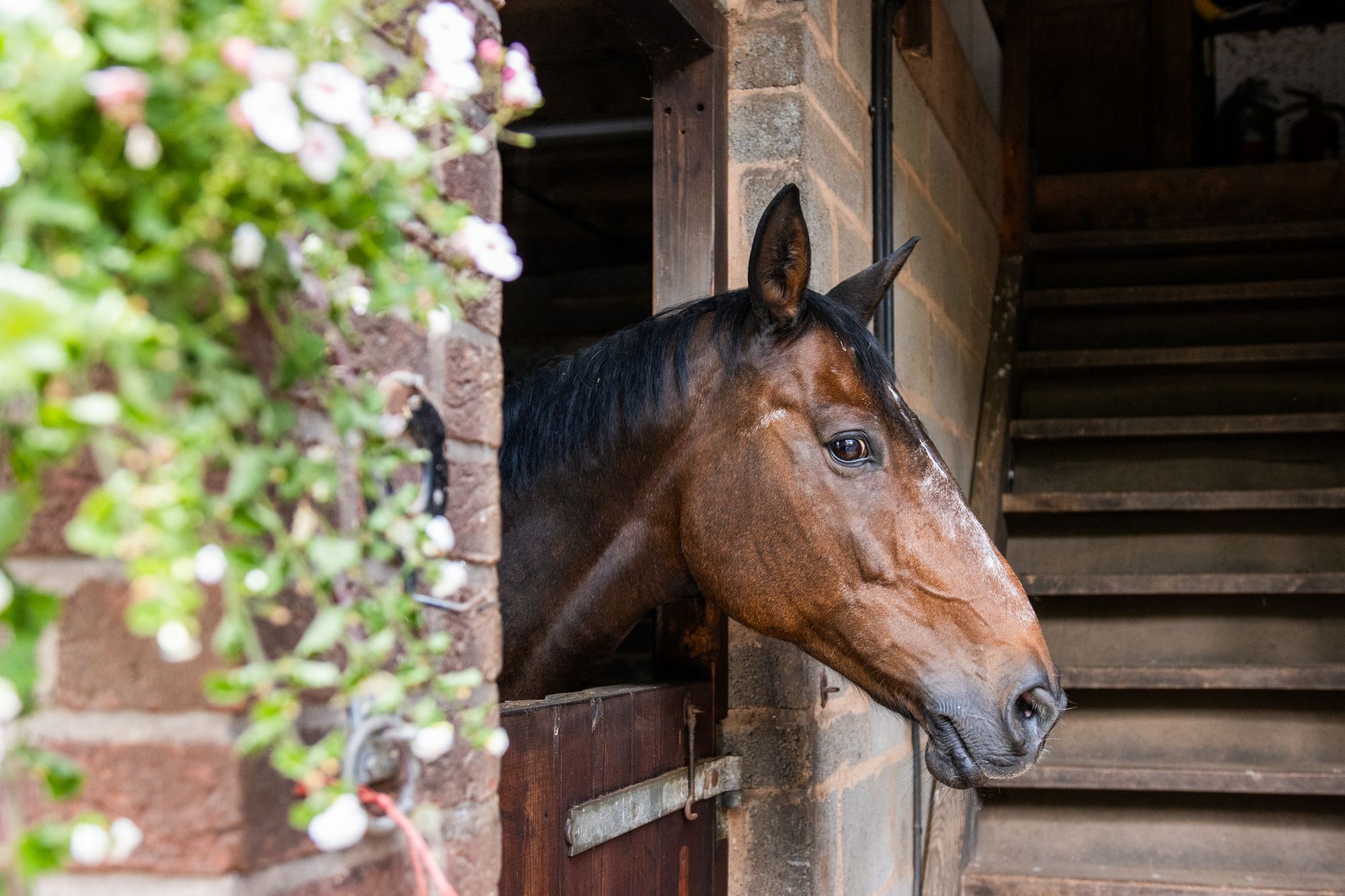 5 bed detached house for sale in Habberley Road, Bewdley, DY12 1
