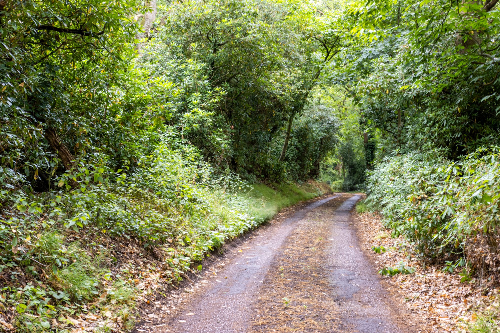 5 bed detached house for sale in Habberley Road, Bewdley, DY12  - Property Image 29