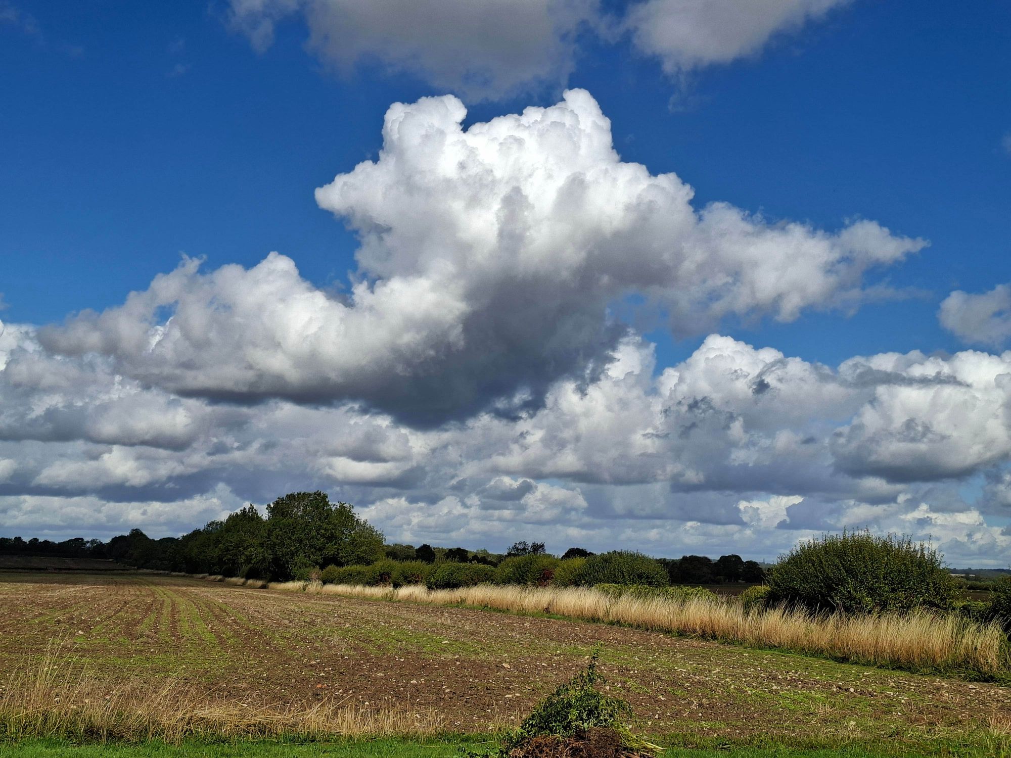 4 bed semi-detached cottage for sale in Coln St. Aldwyns, Cirencester, GL7  - Property Image 16