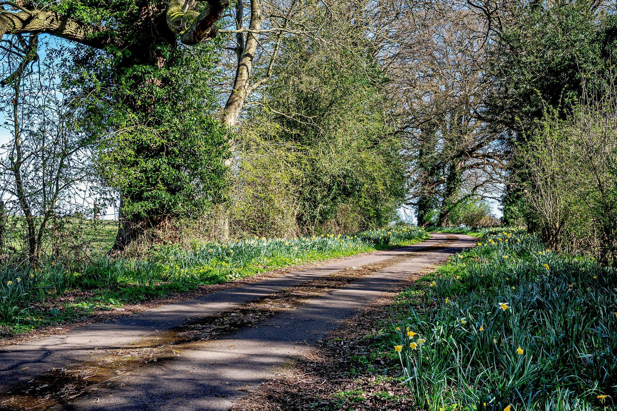 5 bed house for sale in Bromyard Road, Crown East, WR2  - Property Image 20