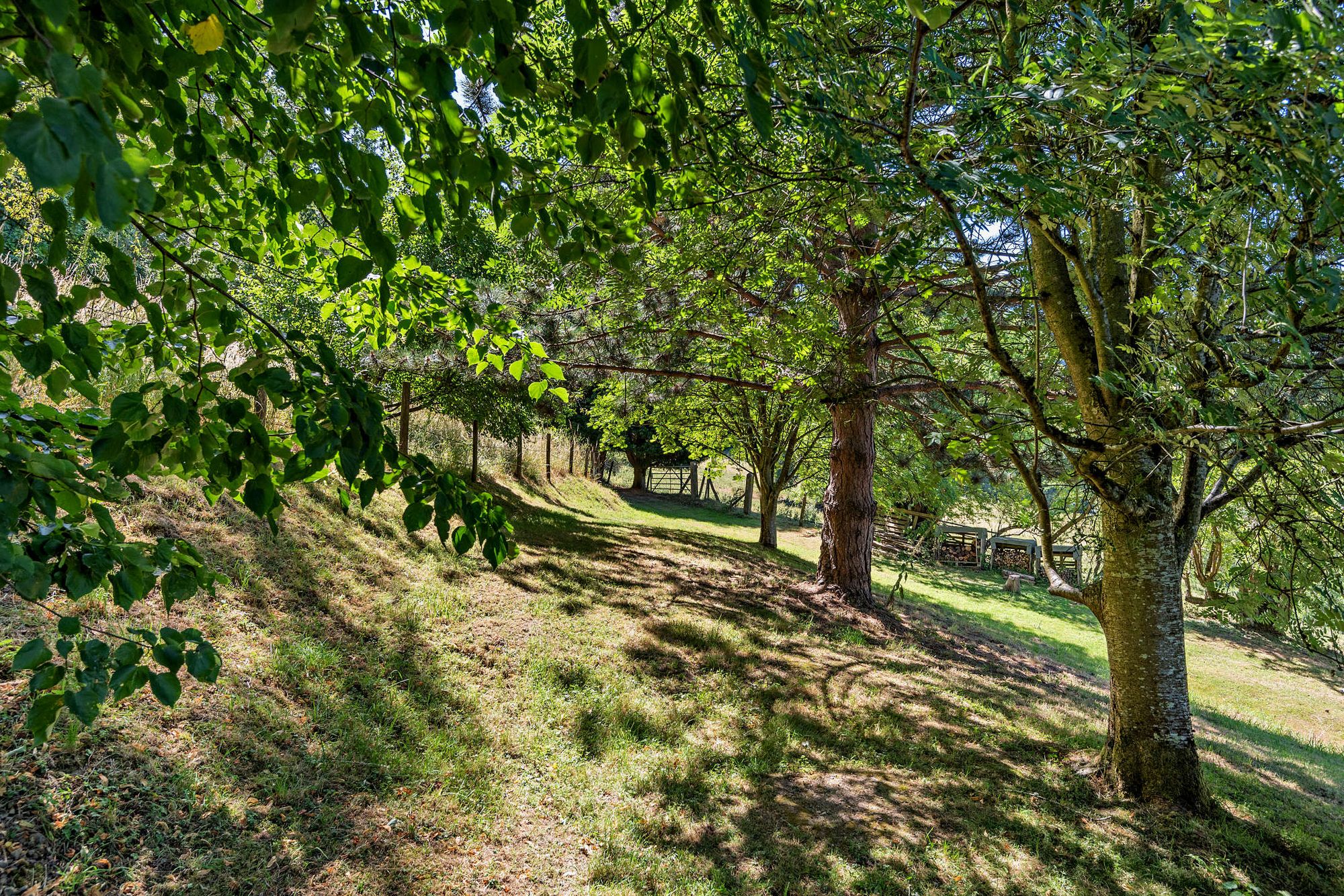 4 bed semi-detached house for sale in Abberley, Worcester, WR6  - Property Image 29