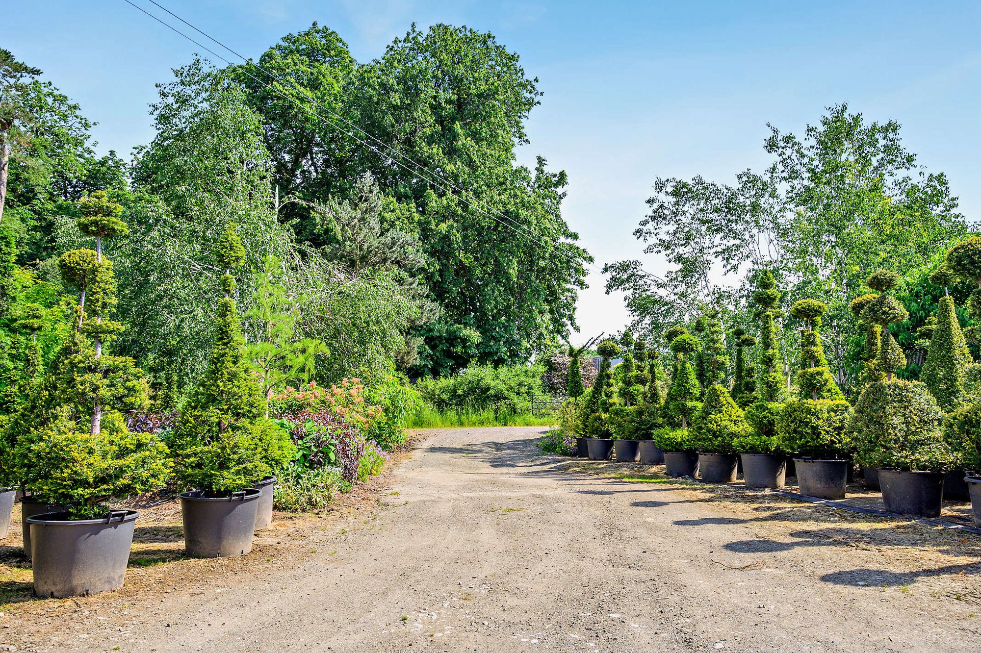 7 bed character property for sale in Cold Weston, Ludlow, SY7 17
