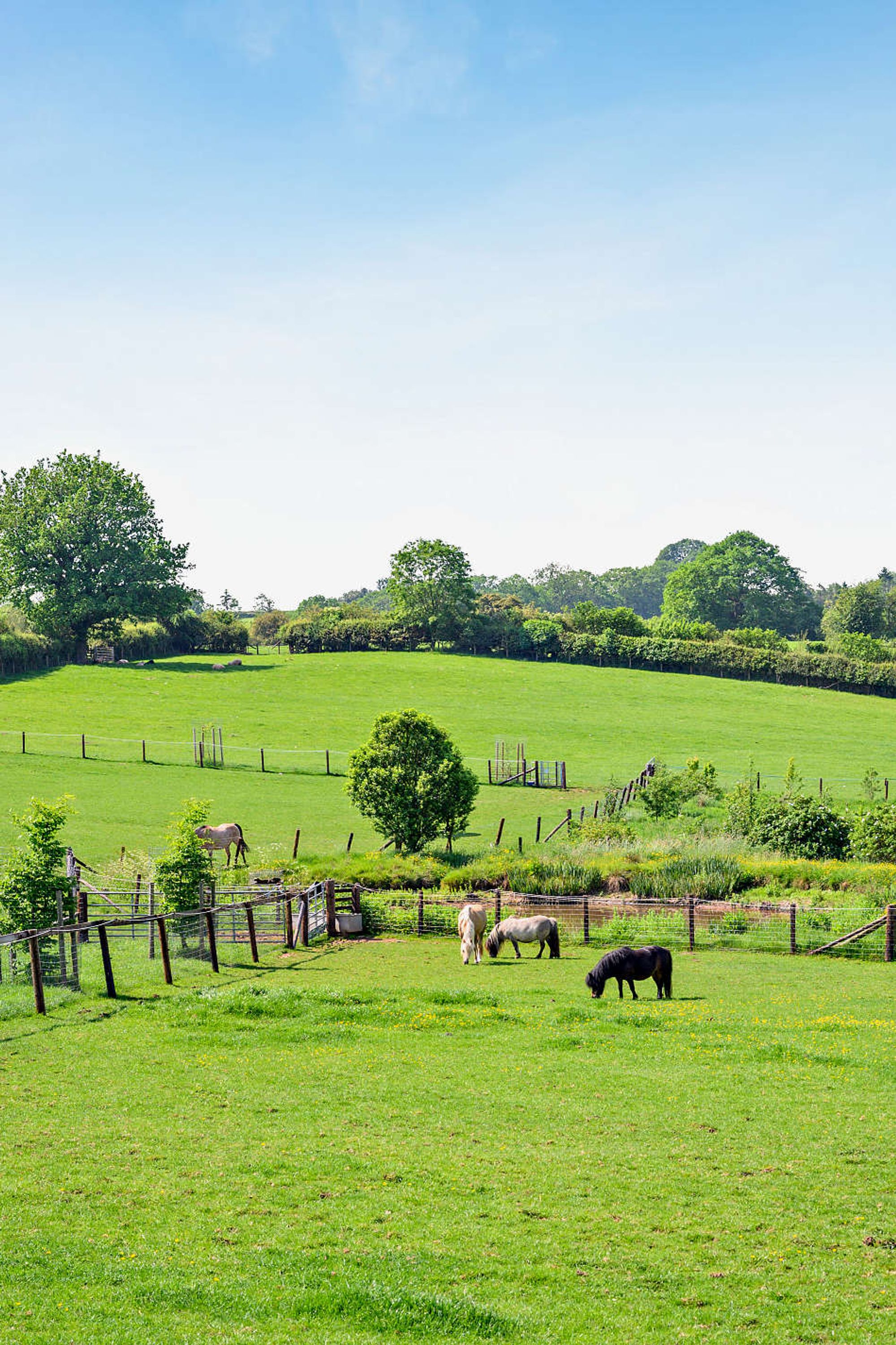 7 bed character property for sale in Cold Weston, Ludlow, SY7  - Property Image 20