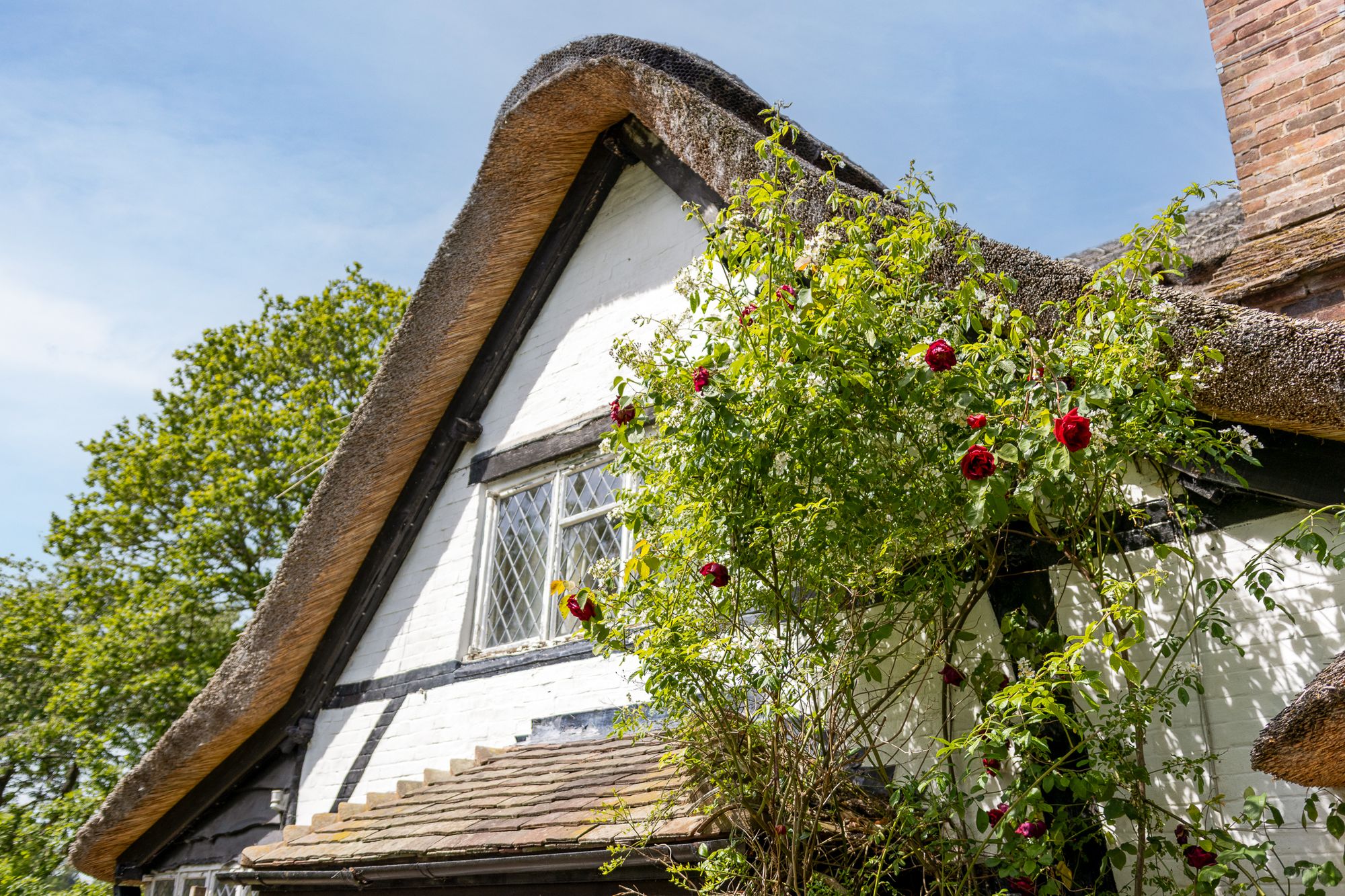 3 bed detached house for sale in Green Lane, Holberrow Green, B96 2