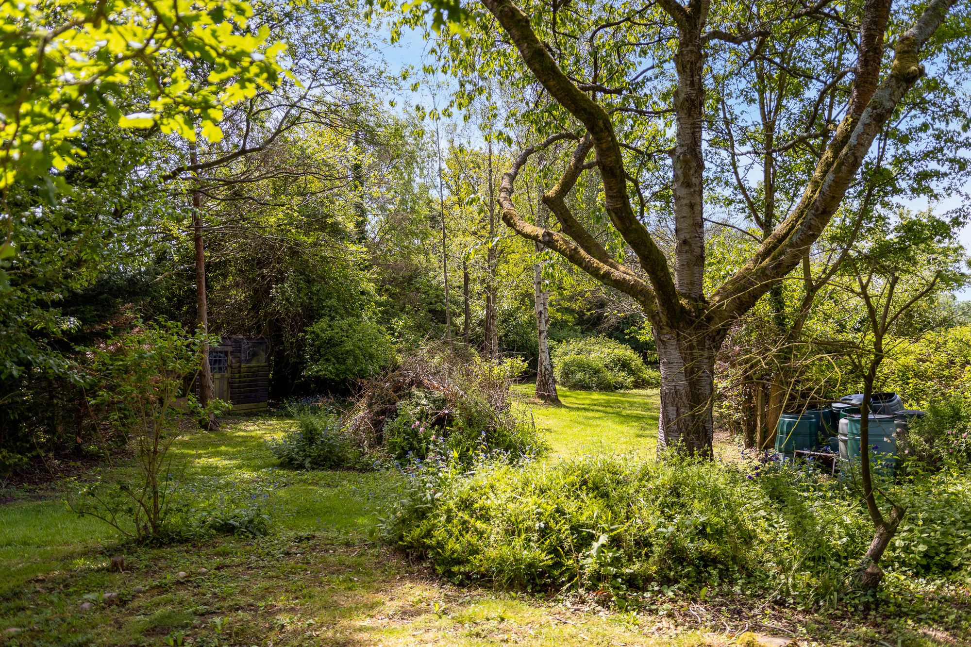 3 bed detached house for sale in Green Lane, Holberrow Green, B96 20