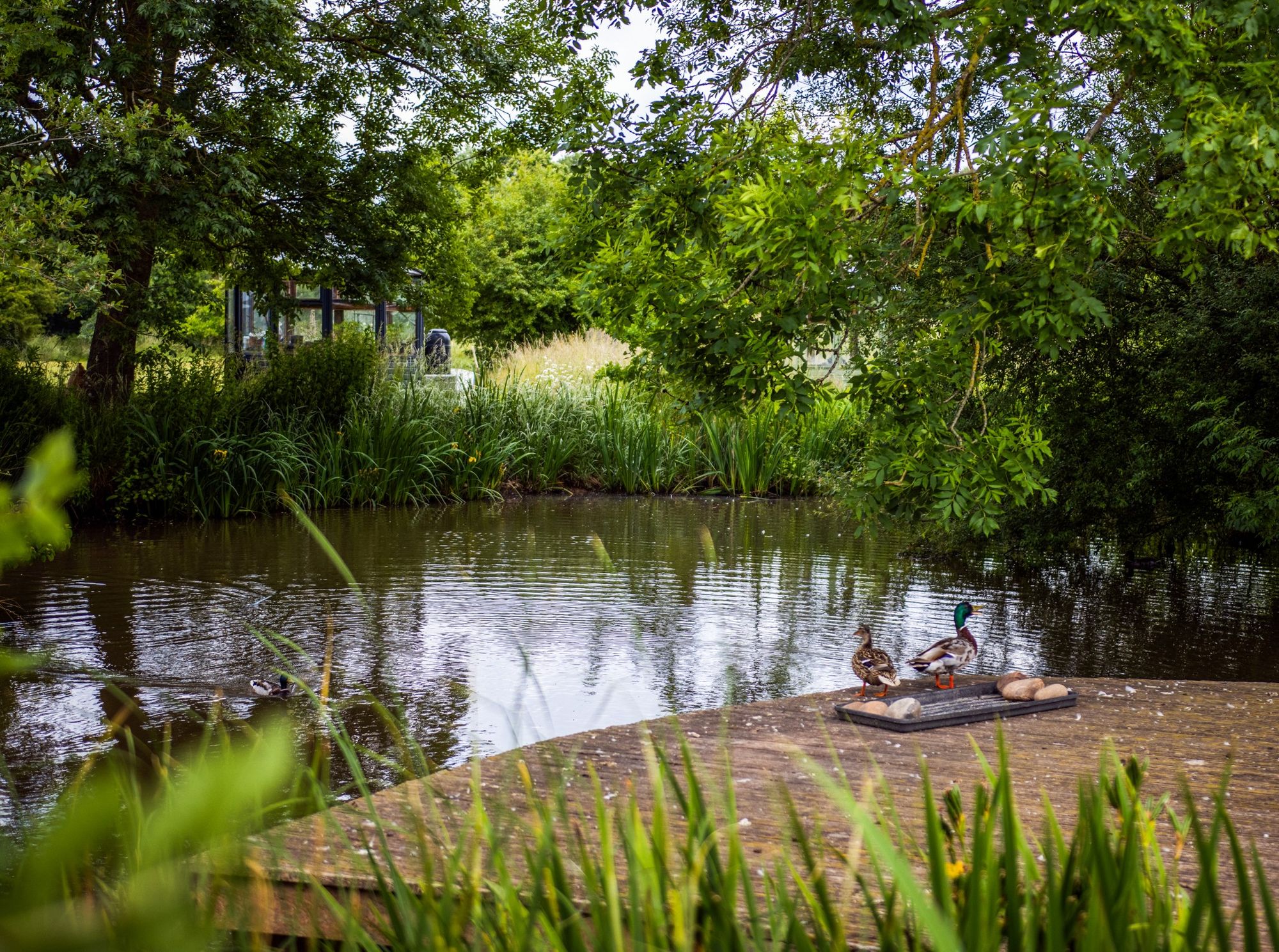 4 bed house for sale in Brown Heath Lane, Newland, WR9  - Property Image 3