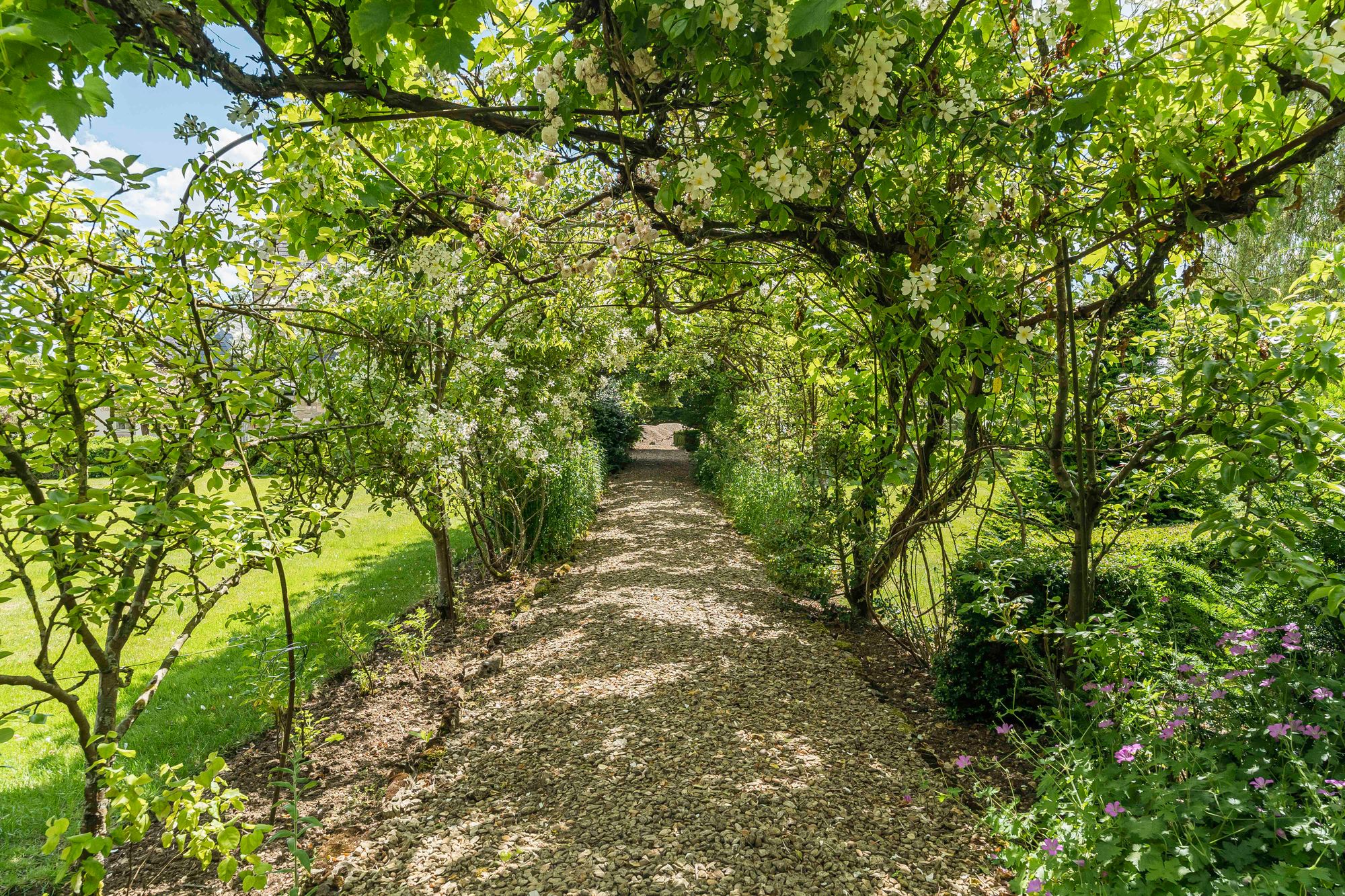 6 bed house for sale in Northmoor, Witney, OX29  - Property Image 11