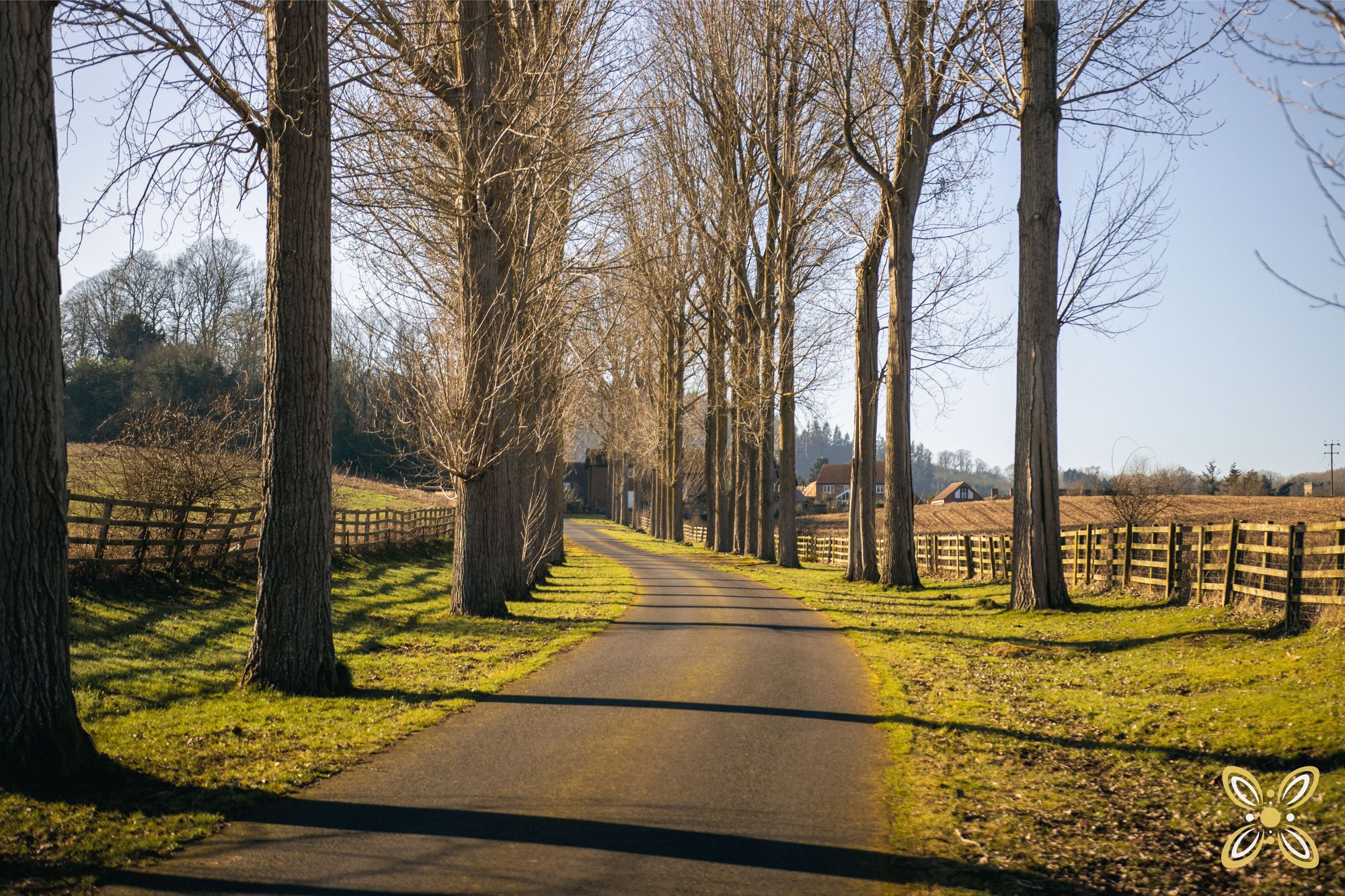 5 bed detached house for sale in Stanford Park, Stanford Bridge, WR6  - Property Image 2