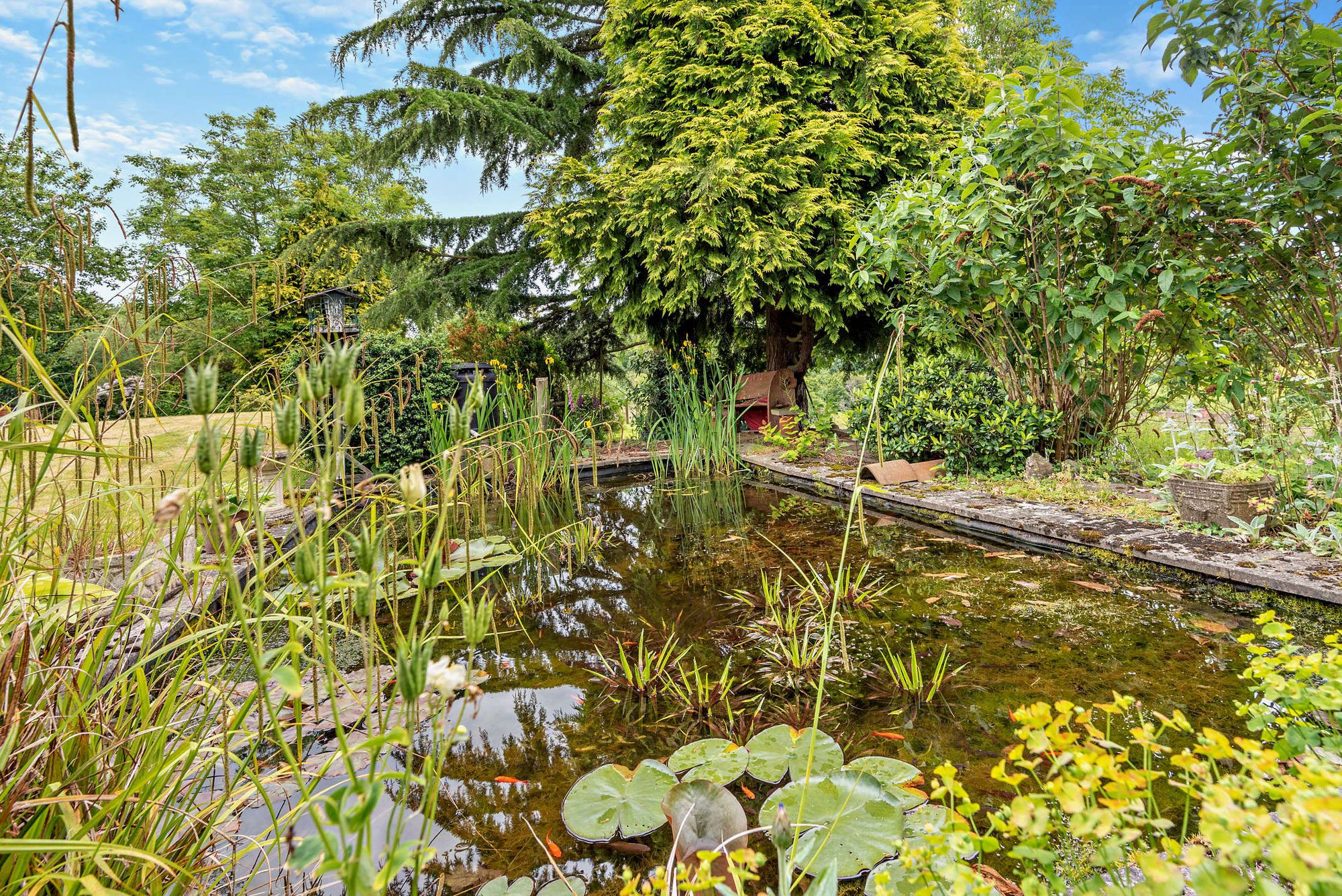 3 bed farm house for sale in Mamble, Kidderminster, DY14  - Property Image 21