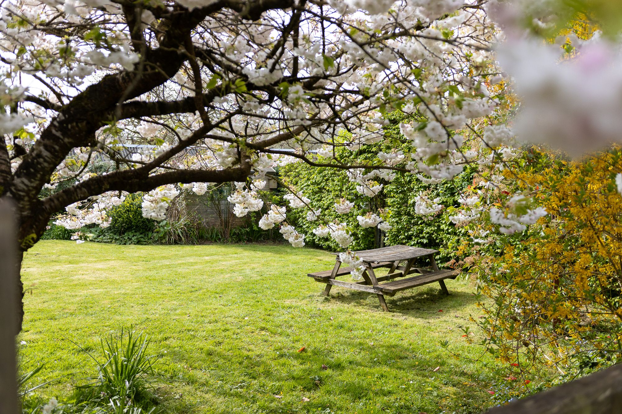 3 bed terraced house for sale in Martley, Worcester, WR6  - Property Image 19