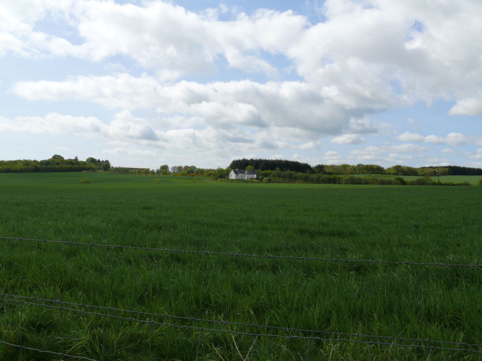 2 bed semi-detached house to rent in Auchmacoy, Ellon  - Property Image 13