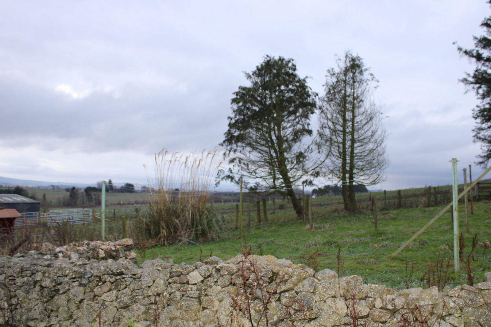 3 bed semi-detached house to rent, Inverurie 7