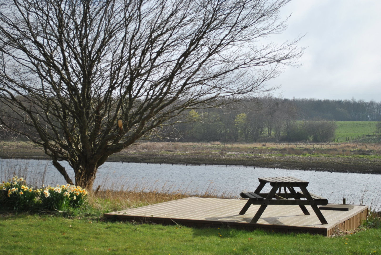 1 bed cottage to rent, Ellon 12