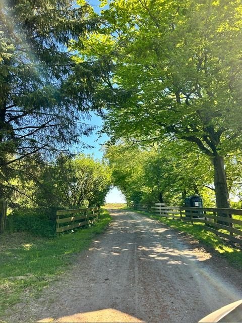 5 bed detached house to rent, Ellon 6