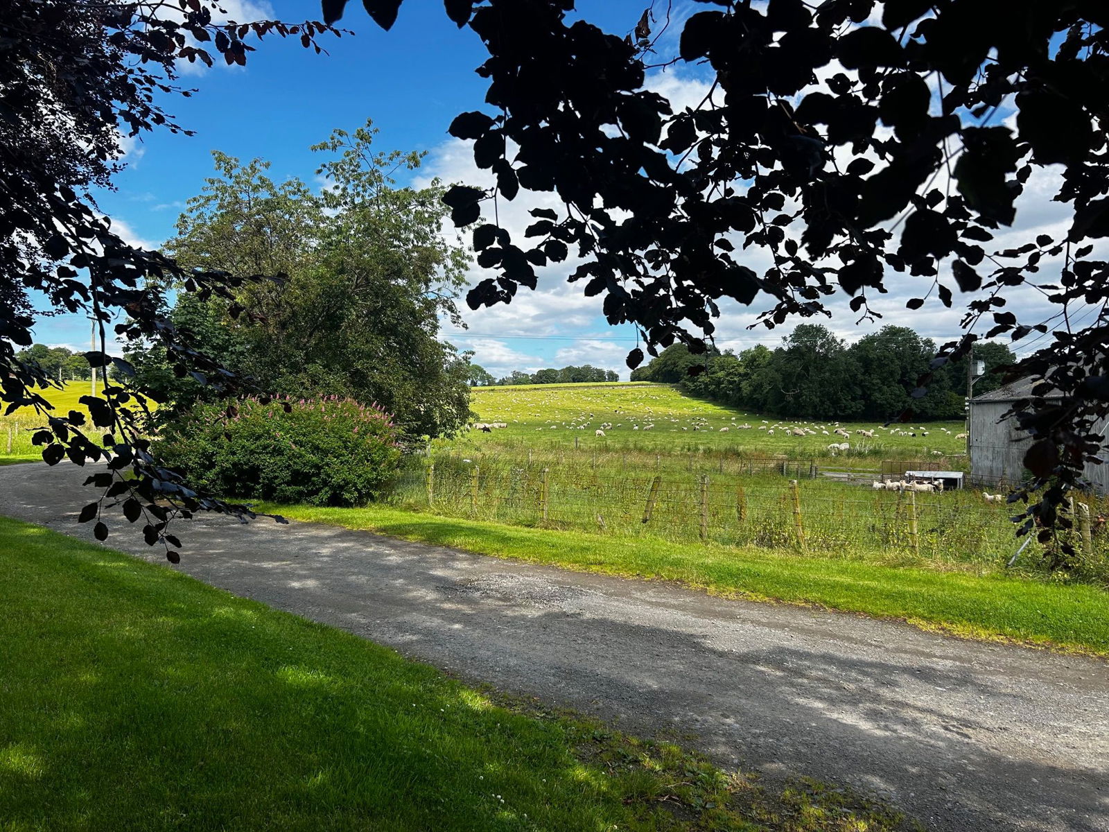 5 bed detached house to rent in Whiteley, Inverurie  - Property Image 18