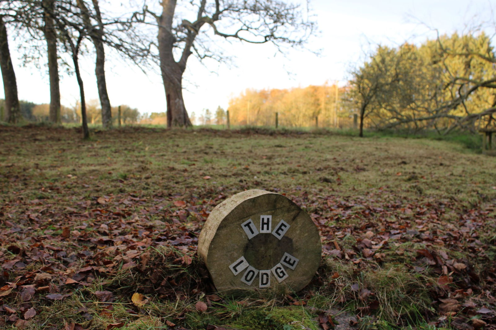 3 bed detached house to rent, Ellon  - Property Image 15