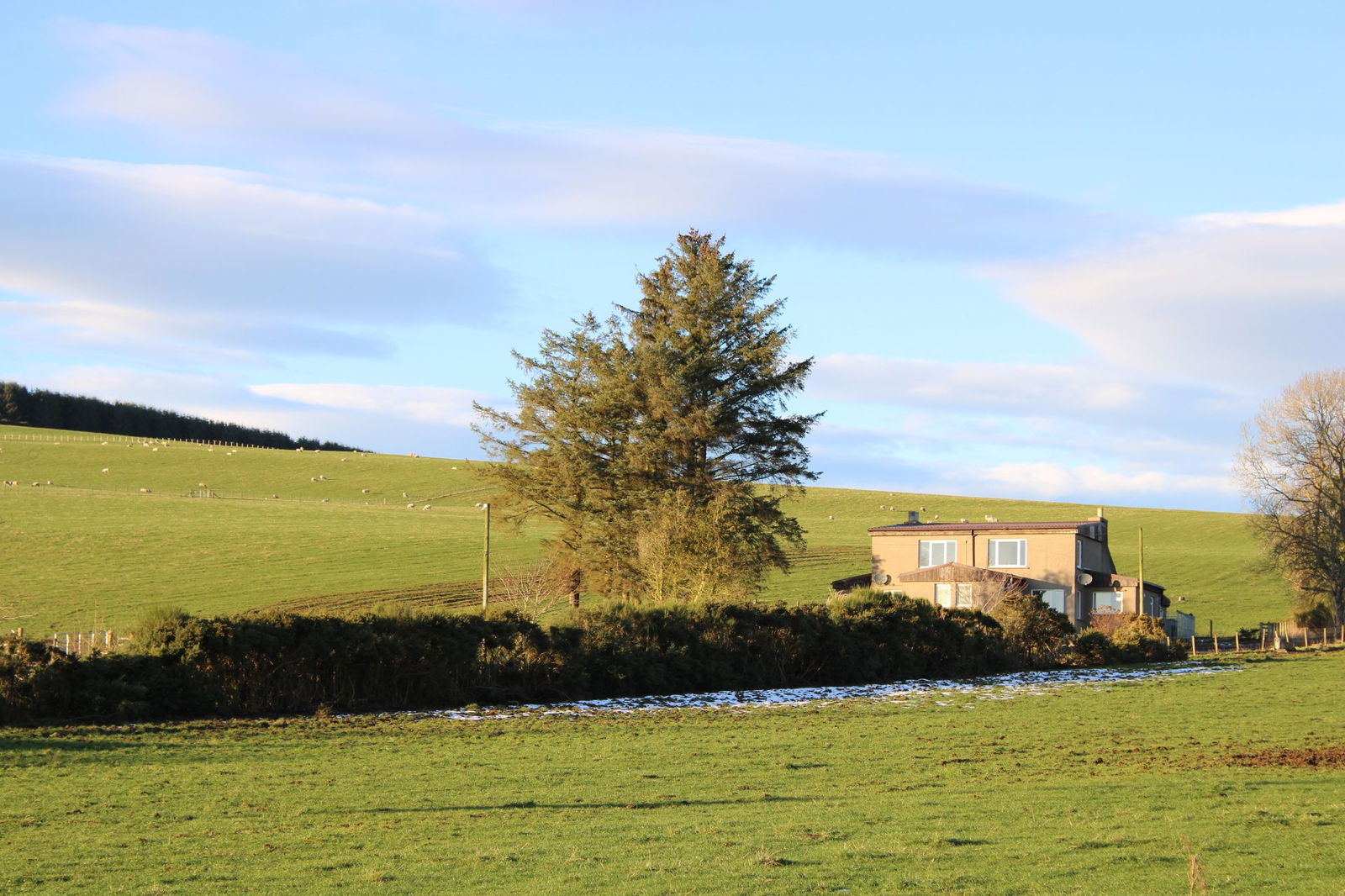 3 bed semi-detached house to rent, Inverurie  - Property Image 11