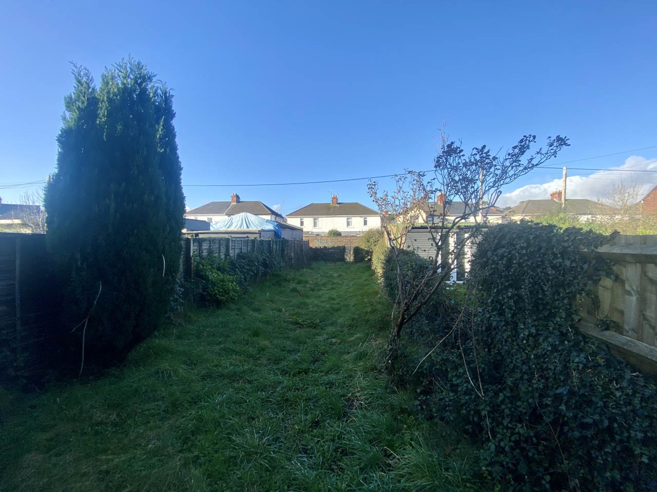3 bed terraced house to rent in Grove Road 7