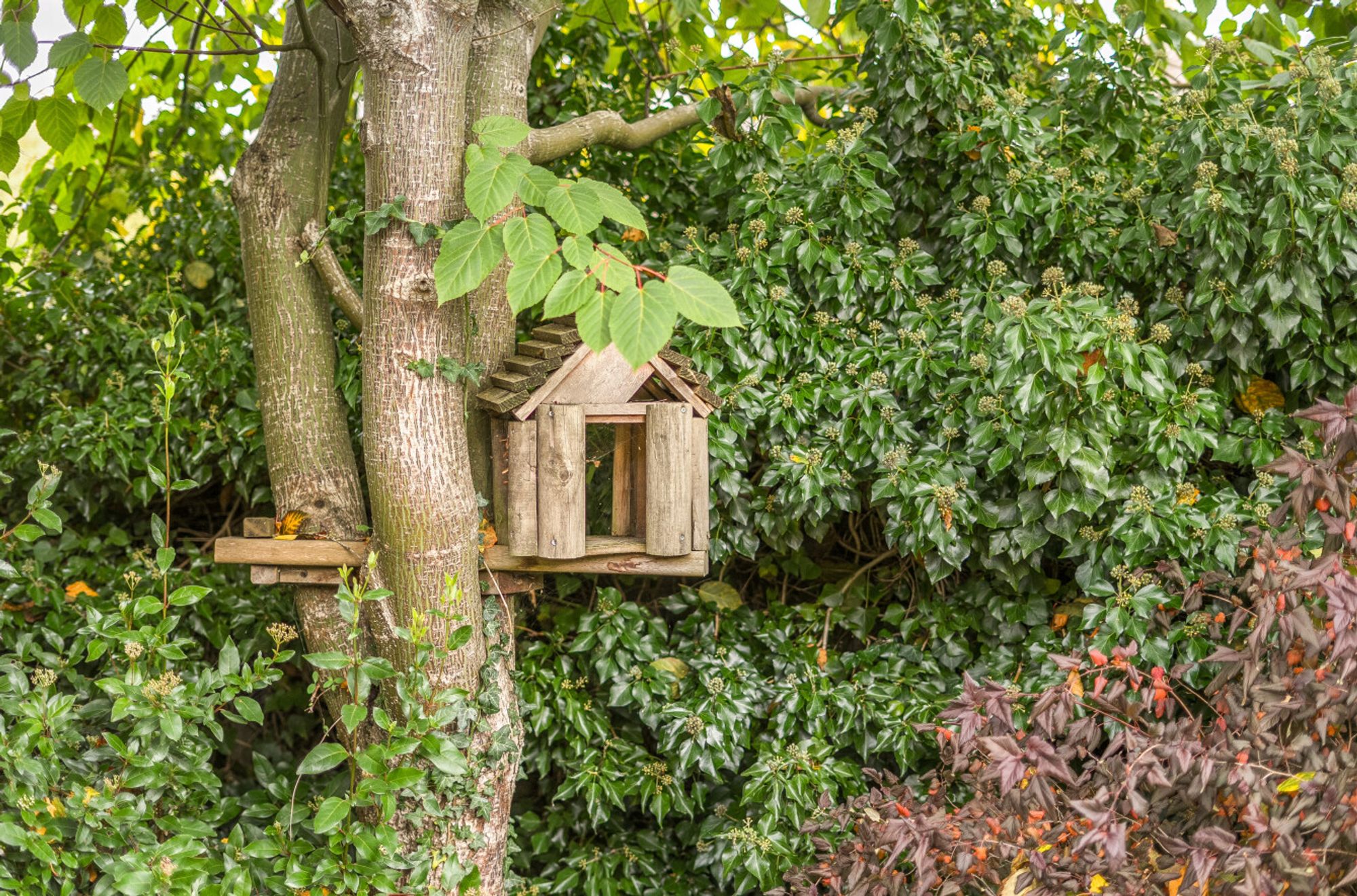 3 bed character property for sale in Station Road, Great Wishford, SP2  - Property Image 44