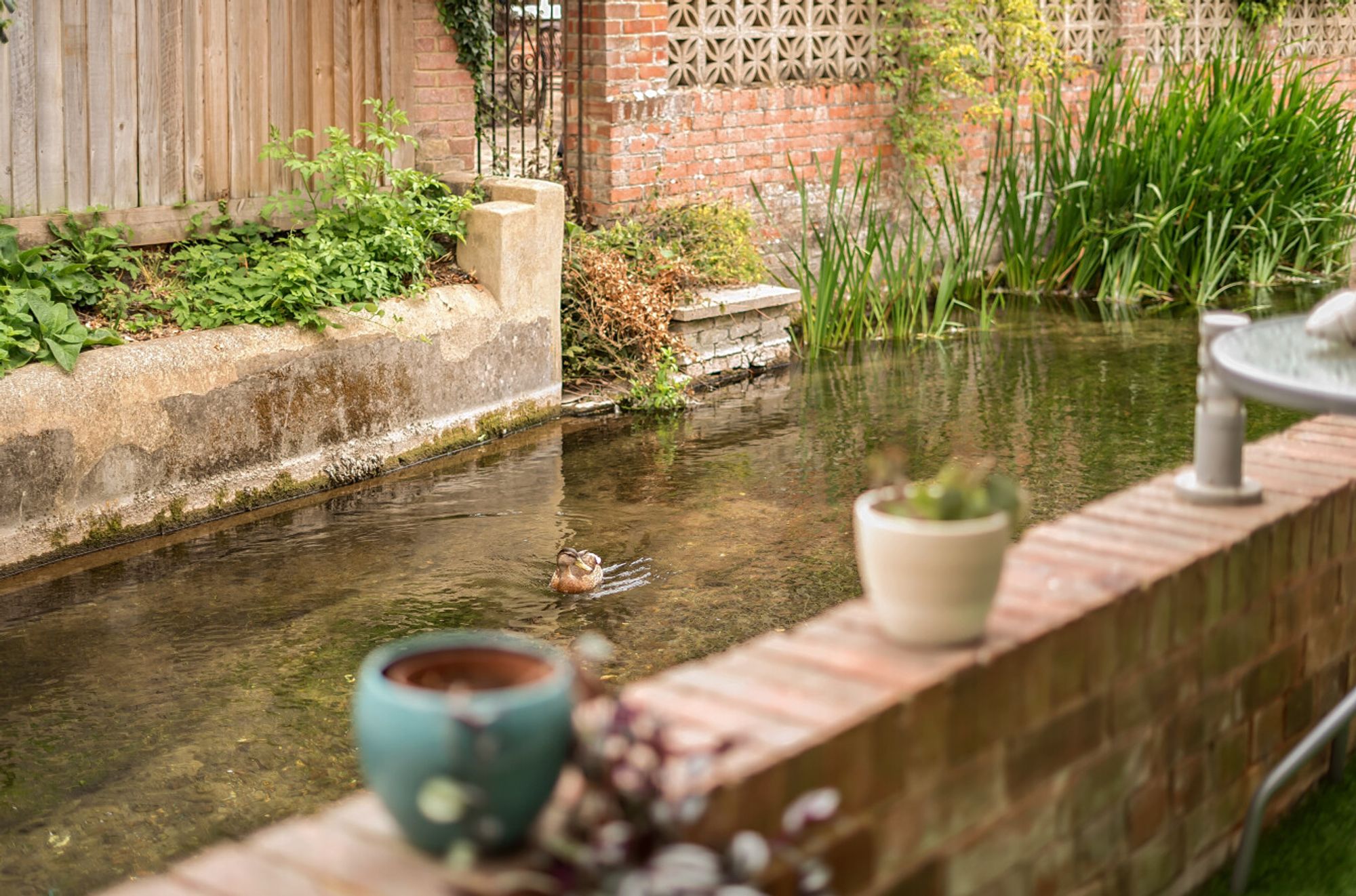 2 bed terraced house for sale in Crow Lane, Wilton, SP2  - Property Image 28