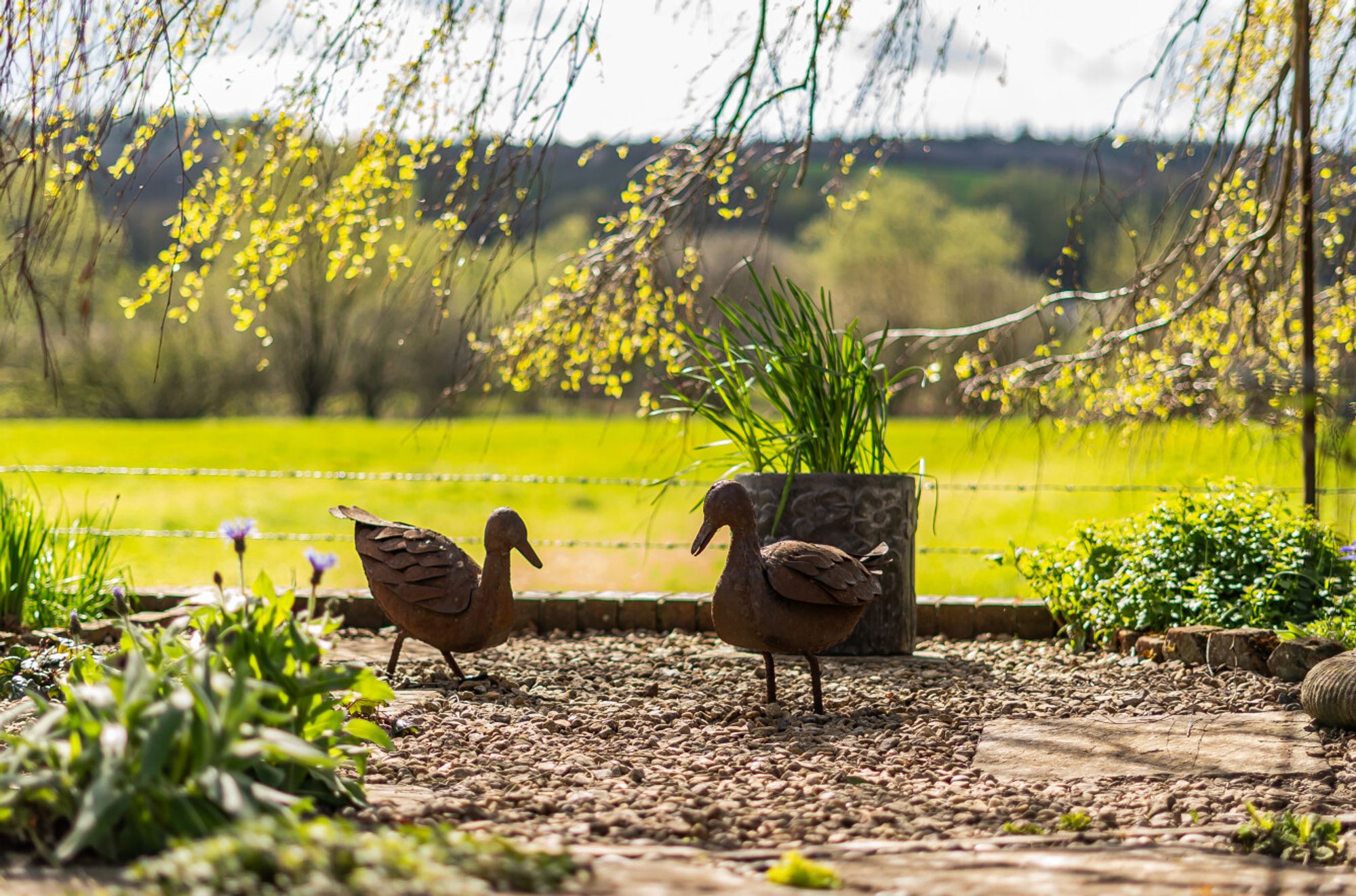 4 bed semi-detached house for sale in Bonham's Mew, Warminster Road, South Newton, Salisbury, SP2 0QW  - Property Image 46