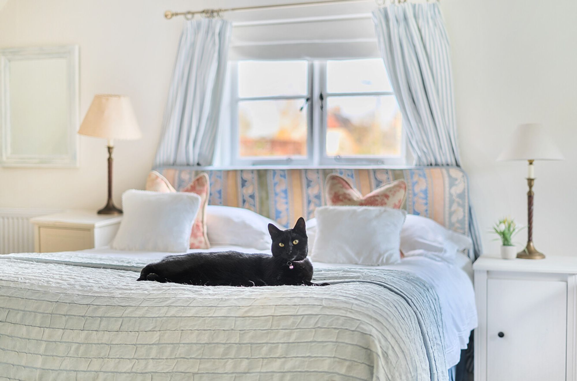 4 bed character property for sale in South Street, Great Wishford, SP2 31