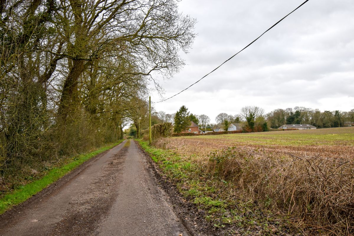 3 bed detached house to rent in Cranway, Rockbourne 15