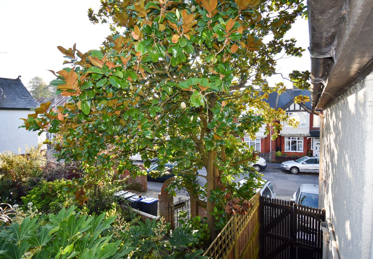 2 bed flat to rent in Flat 1, Woodruff, Belle Vue Road, Salisbury  - Property Image 11