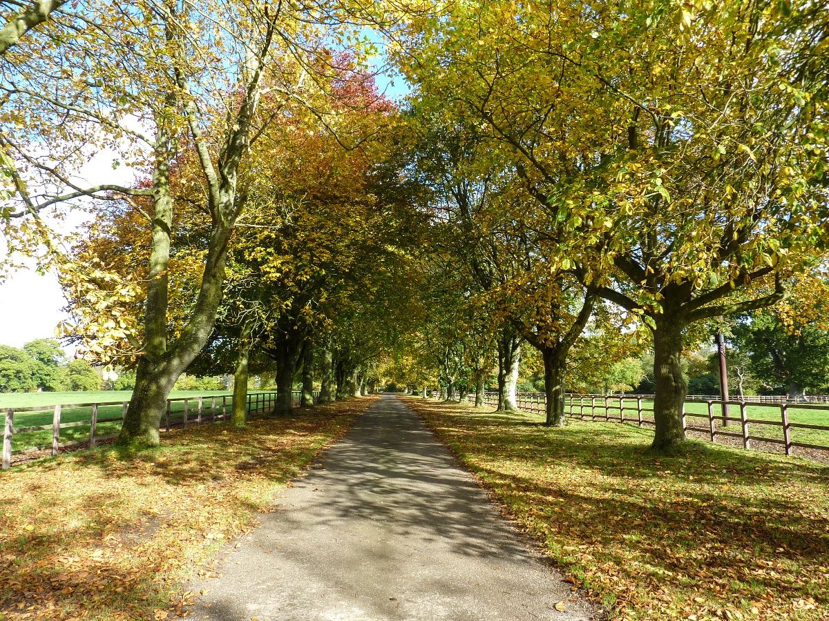 3 bed character property to rent in Pipers Farmhouse, Clarendon Park, Salisbury  - Property Image 3