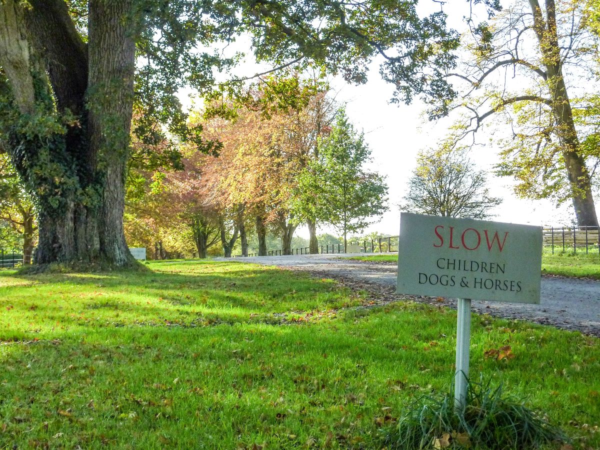 3 bed character property to rent in Pipers Farmhouse, Clarendon Park, Salisbury 19