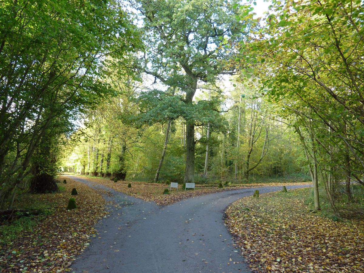 3 bed character property to rent in Pipers Farmhouse, Clarendon Park, Salisbury  - Property Image 18