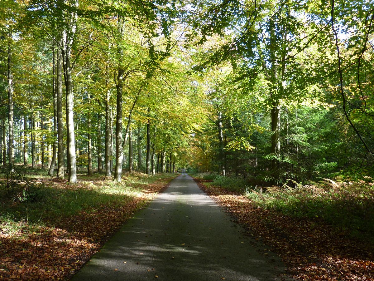 3 bed character property to rent in Pipers Farmhouse, Clarendon Park, Salisbury  - Property Image 19