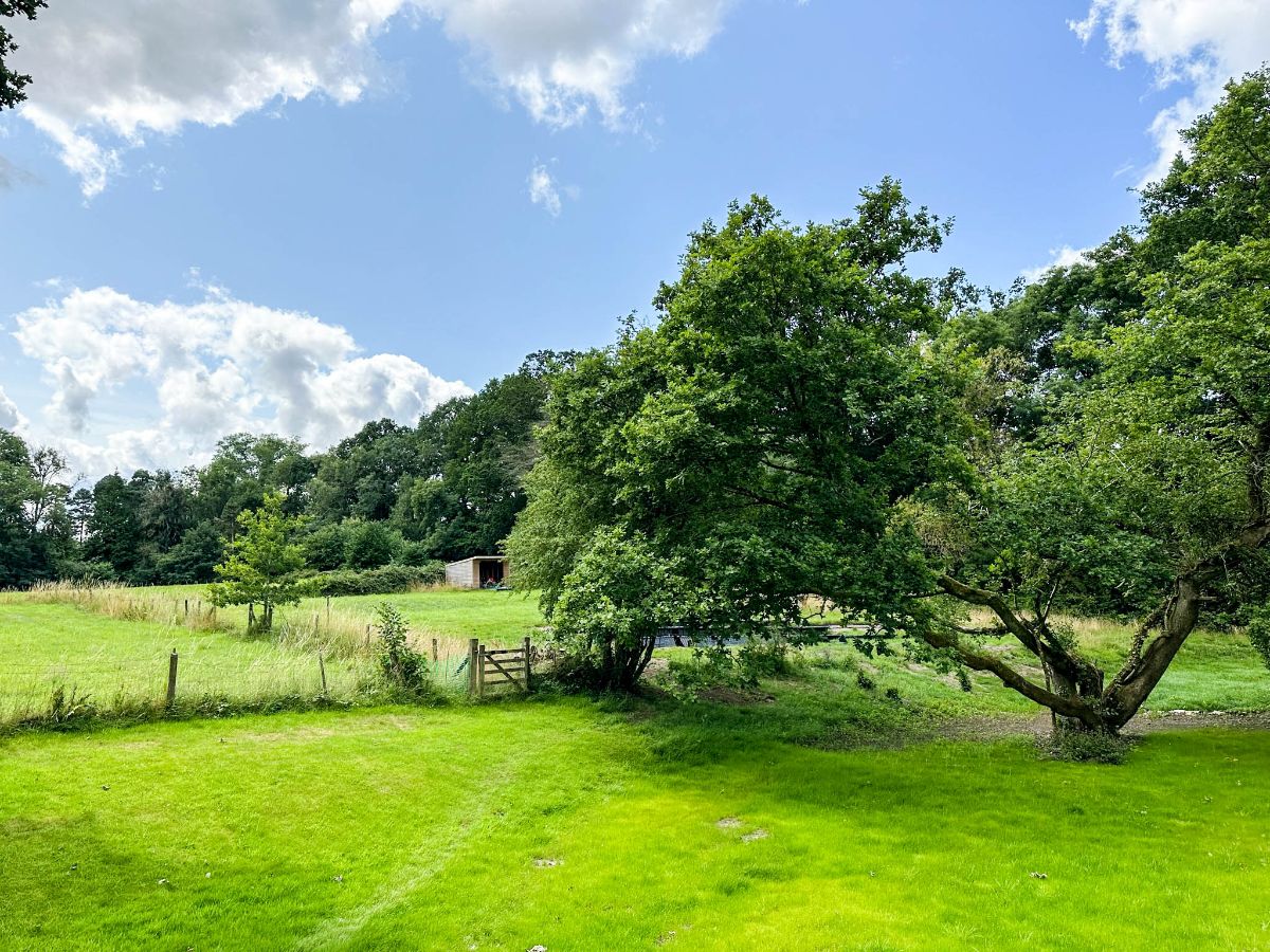 2 bed bungalow to rent in The Cottage, Fovant  - Property Image 4