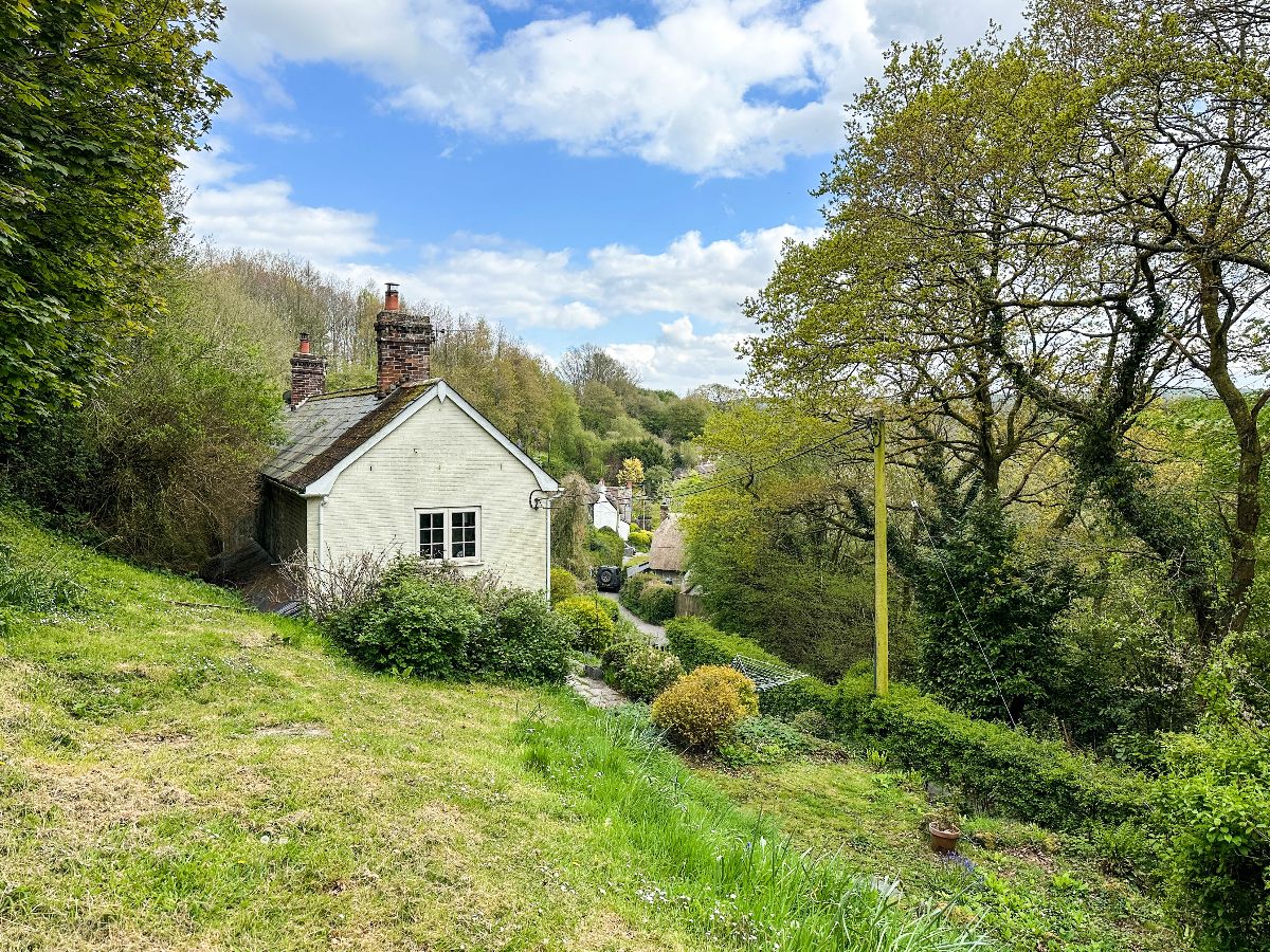 2 bed semi-detached house to rent in Milkwell, Donhead St. Andrew, Shaftesbury 11