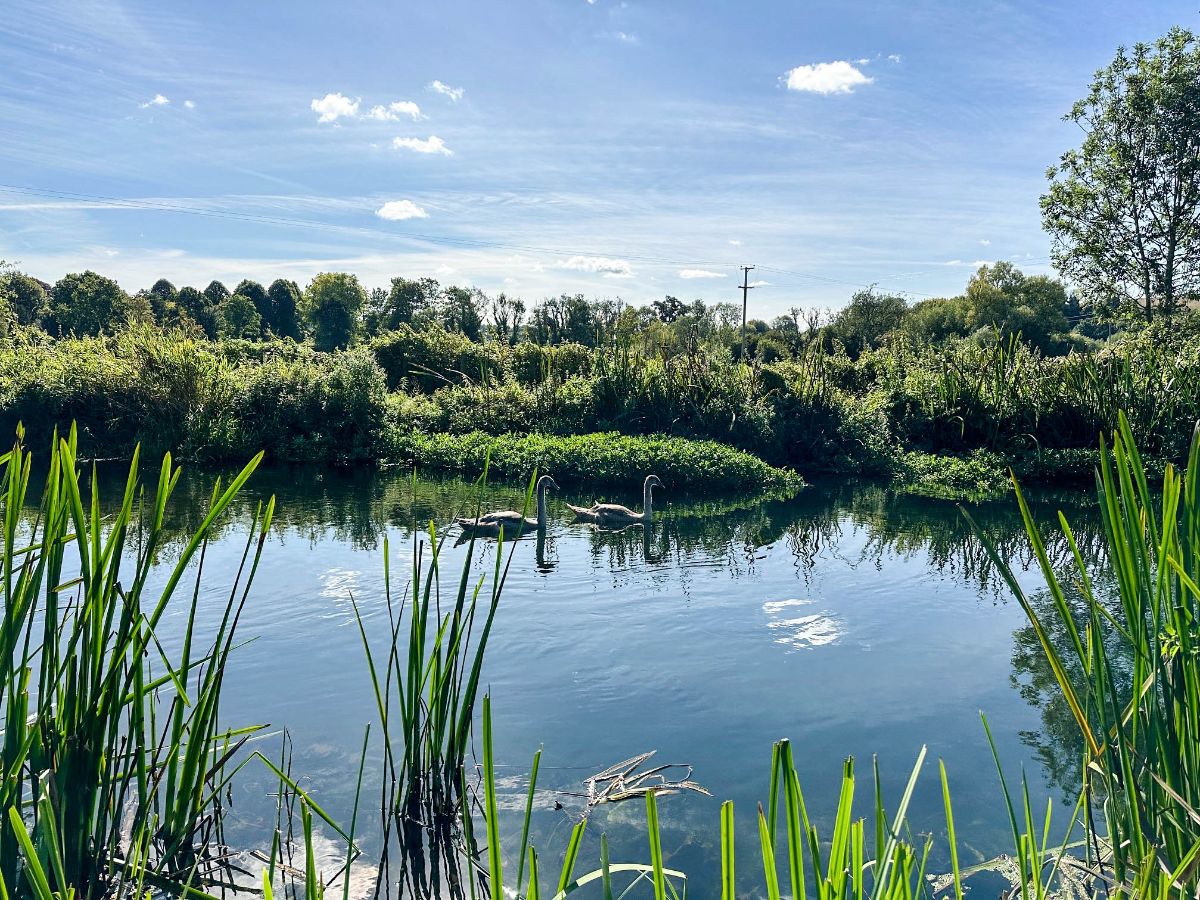 1 bed studio flat to rent in The Crows Nest, Middle Woodford  - Property Image 8