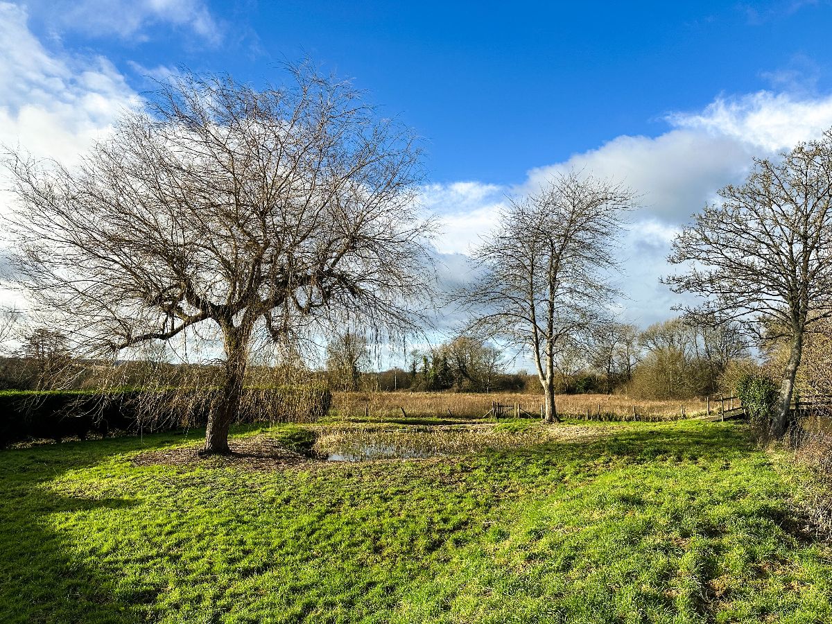 4 bed detached house to rent in The Dower House, Fisherton De La Mere  - Property Image 24