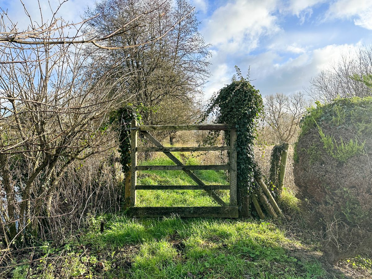 4 bed detached house to rent in The Dower House, Fisherton De La Mere 18