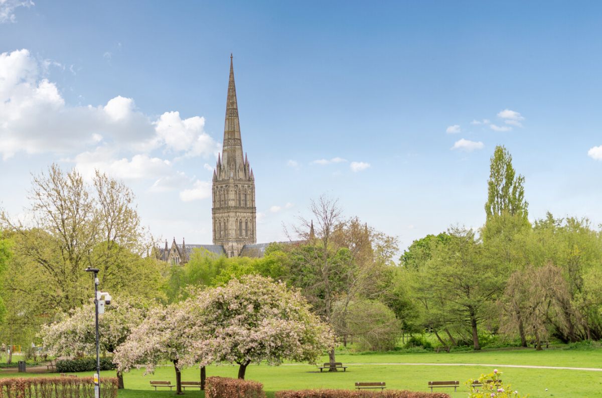 3 bed detached house to rent in Mill Road, Salisbury 21