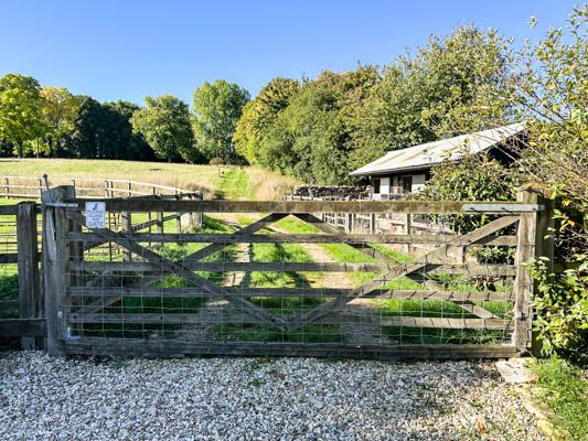 1 bed bungalow to rent in The Malthouse Annexe, Near Tisbury  - Property Image 4