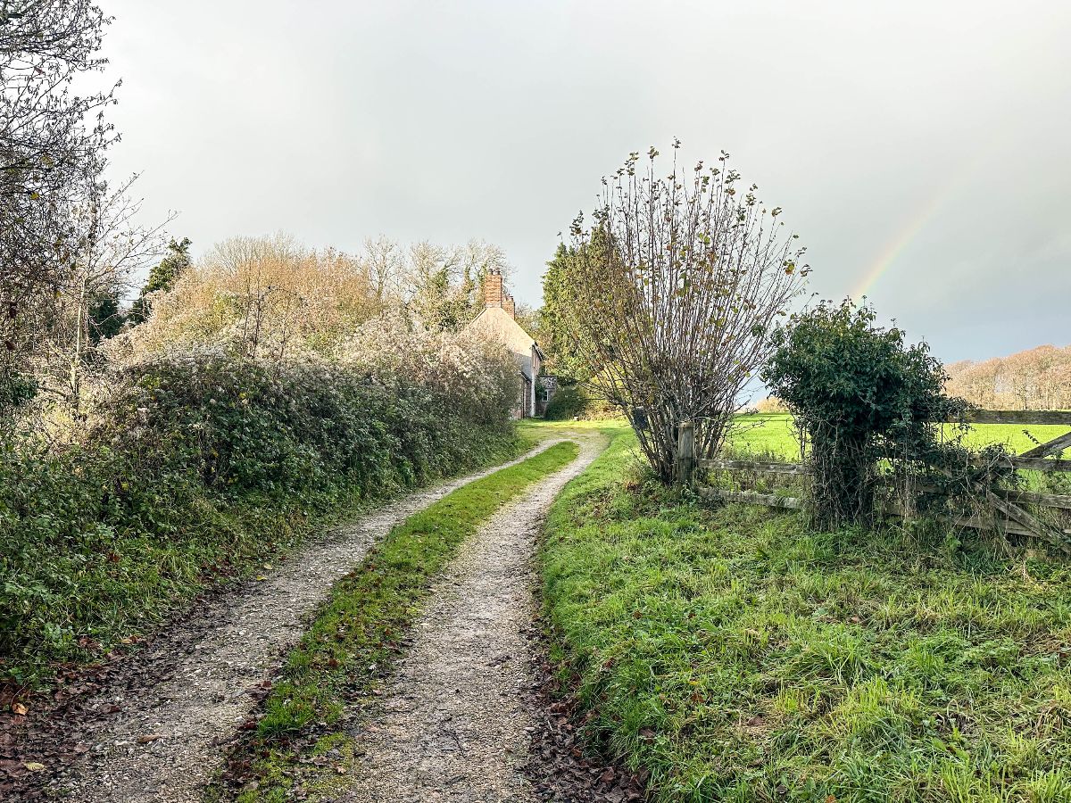 3 bed cottage to rent in Cutlers Cottage, Bowerchalke  - Property Image 24