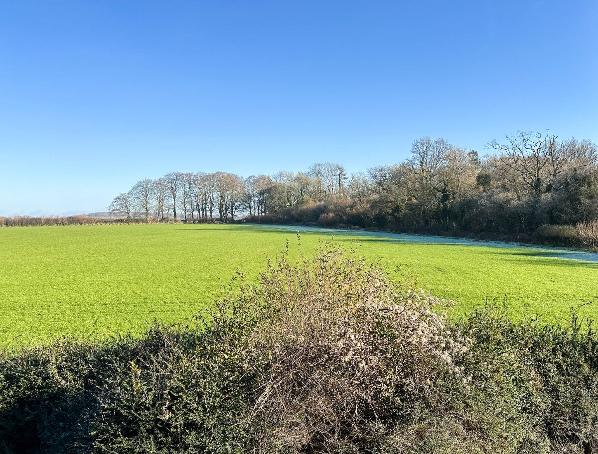 3 bed cottage to rent in Cutlers Cottage, Bowerchalke  - Property Image 3