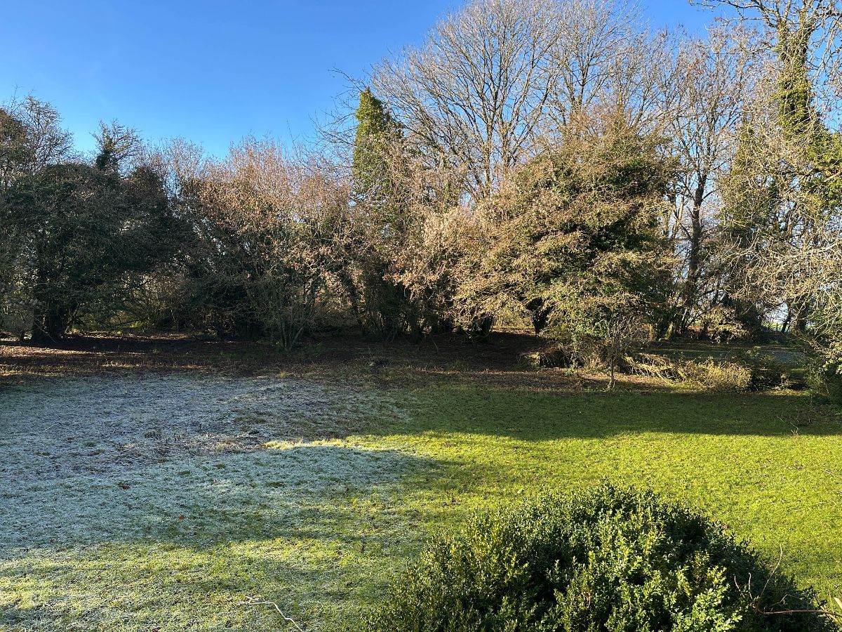 3 bed cottage to rent in Cutlers Cottage, Bowerchalke 25