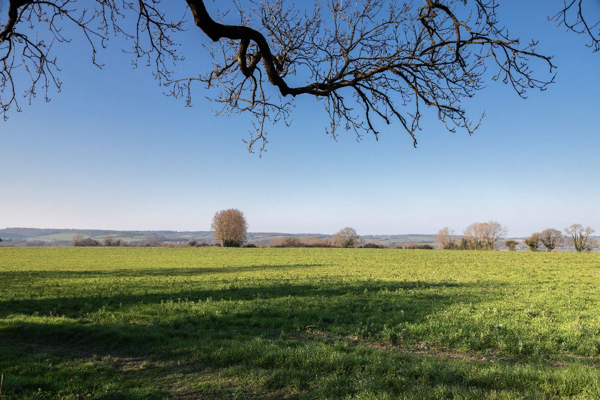 5 bed character property to rent in Westcote Barn, Binsted 20
